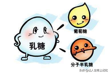 肠胃对蛋白质吸收差怎么办,蛋白质摄入过多什么病