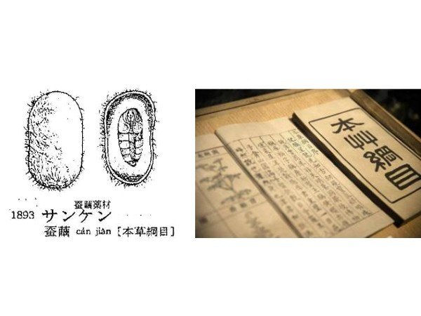 护肤新思路从肌肤微生态健康入手,修复肌肤微生物屏障