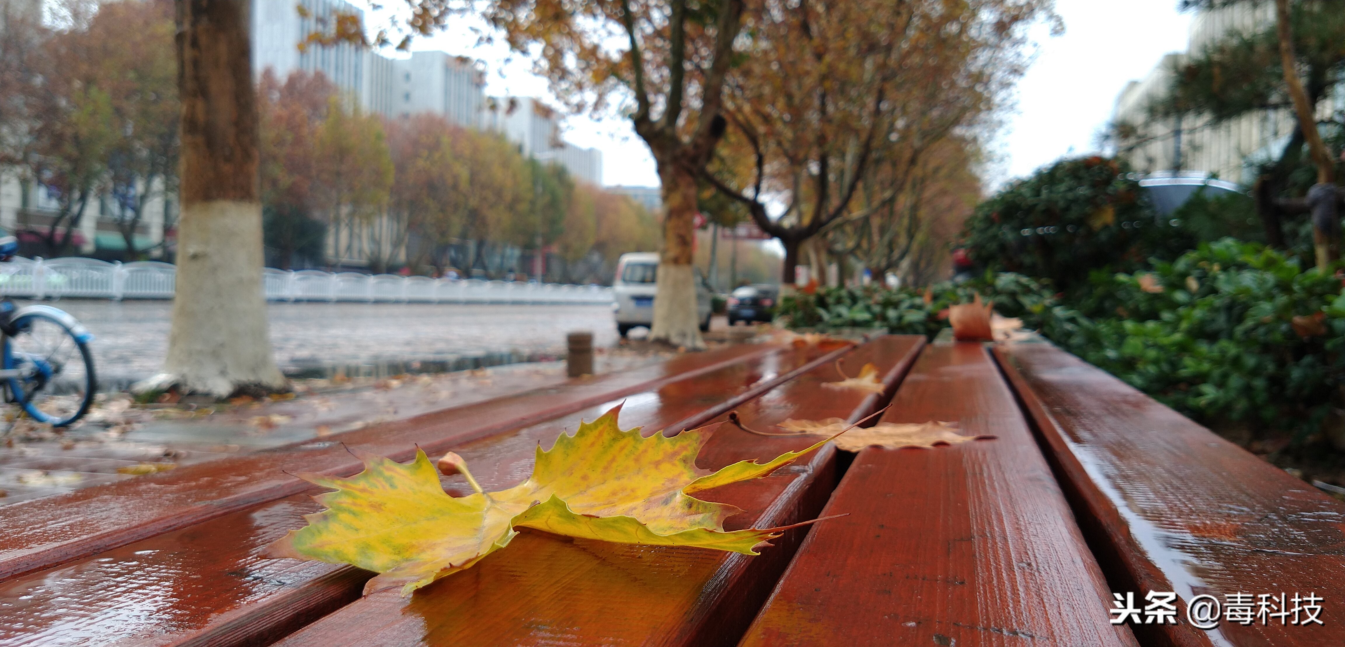 颜值和性能汽车,颜值和性能并存的电车