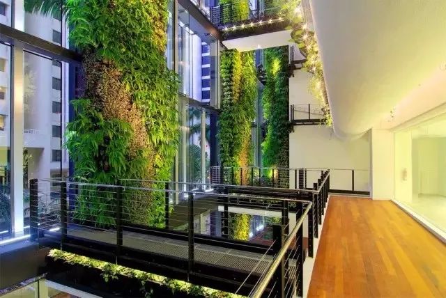 室内做的景观,室内景观打造过程