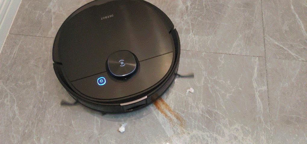 家有猫主的铲屎官,家有猫咪铲屎官