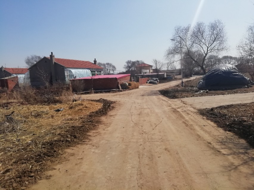 婆婆跟孙子孙女不亲,婆婆不和儿媳妇说实话还要来往吗