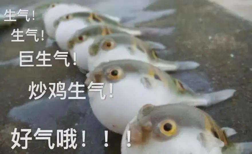 医院治疗黄疸是不是治疗费用特黑,医院治疗黄疸有陷阱吗