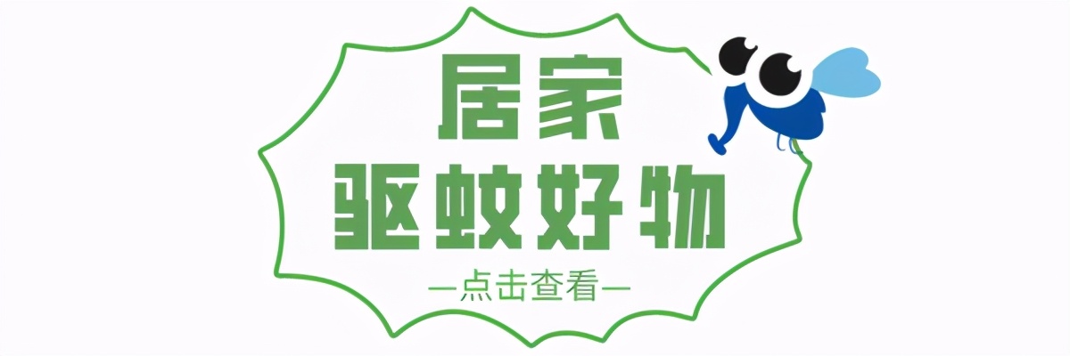 清凉一夏无蚊蝇,让夏天没有蚊虫烦恼