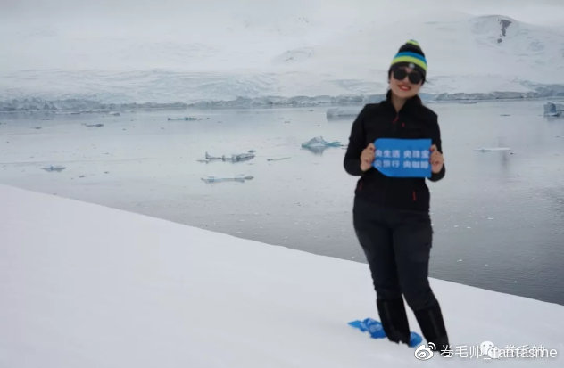 央央：大女主形象没头脑人设