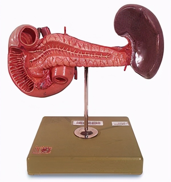 急性胰腺炎为什么死亡率这么高,出血坏死性急性胰腺炎死亡率