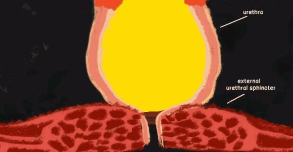正常人憋尿多长时间有危险,防水需要注意事项