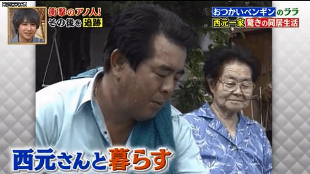 去世的小企鹅,死去的南极企鹅