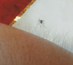 汉子女生,汉子女孩子