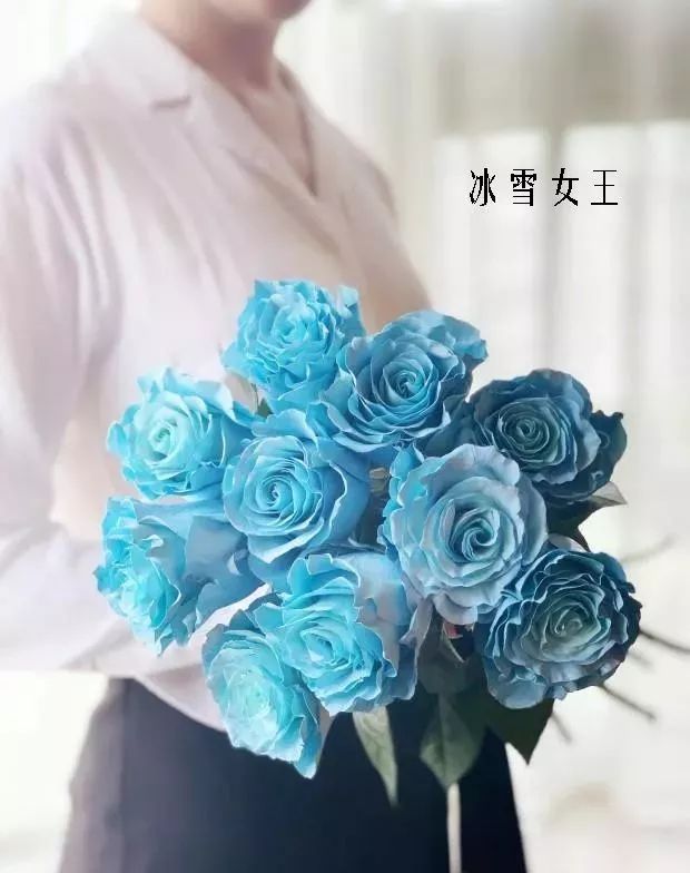 鲜花店常见花材品种大全,花店里同款的两种不同价格的花材