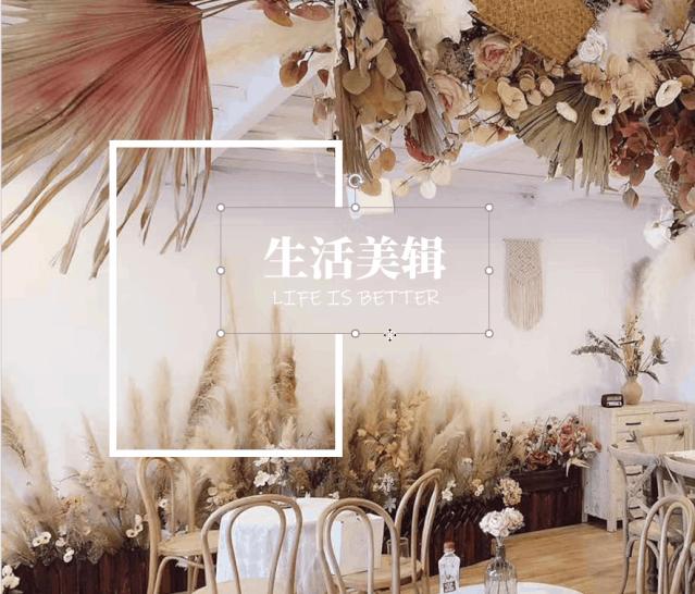 ppt大神功能,小白教你学ppt