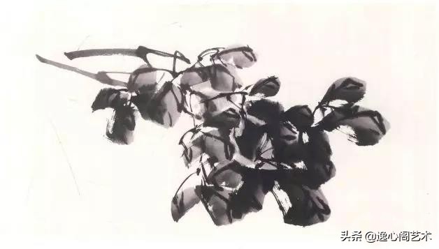 写意牡丹叶子画法步骤教程,王兮然写意牡丹画法视频大全