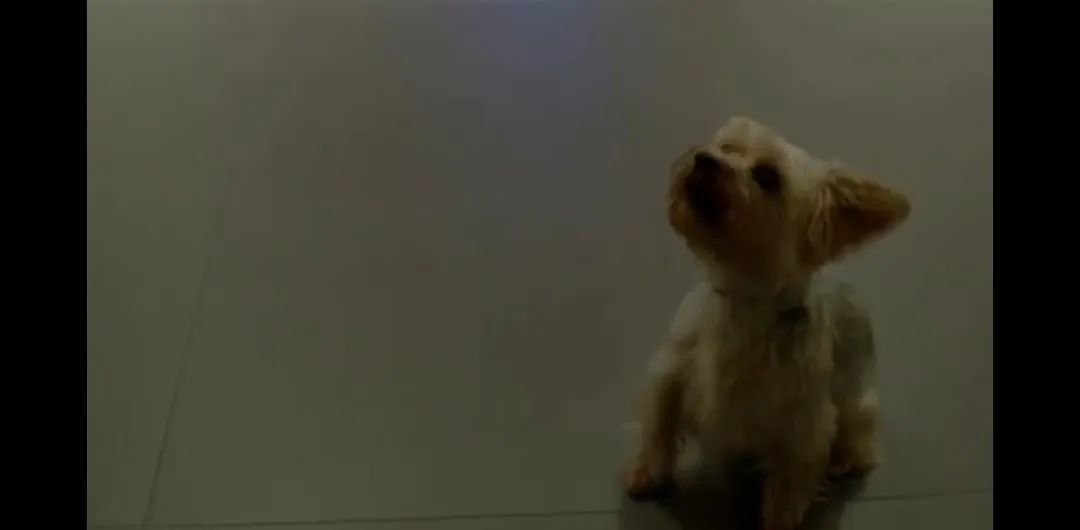 英剧9号秘事全部,英剧9号秘事讲的什么事