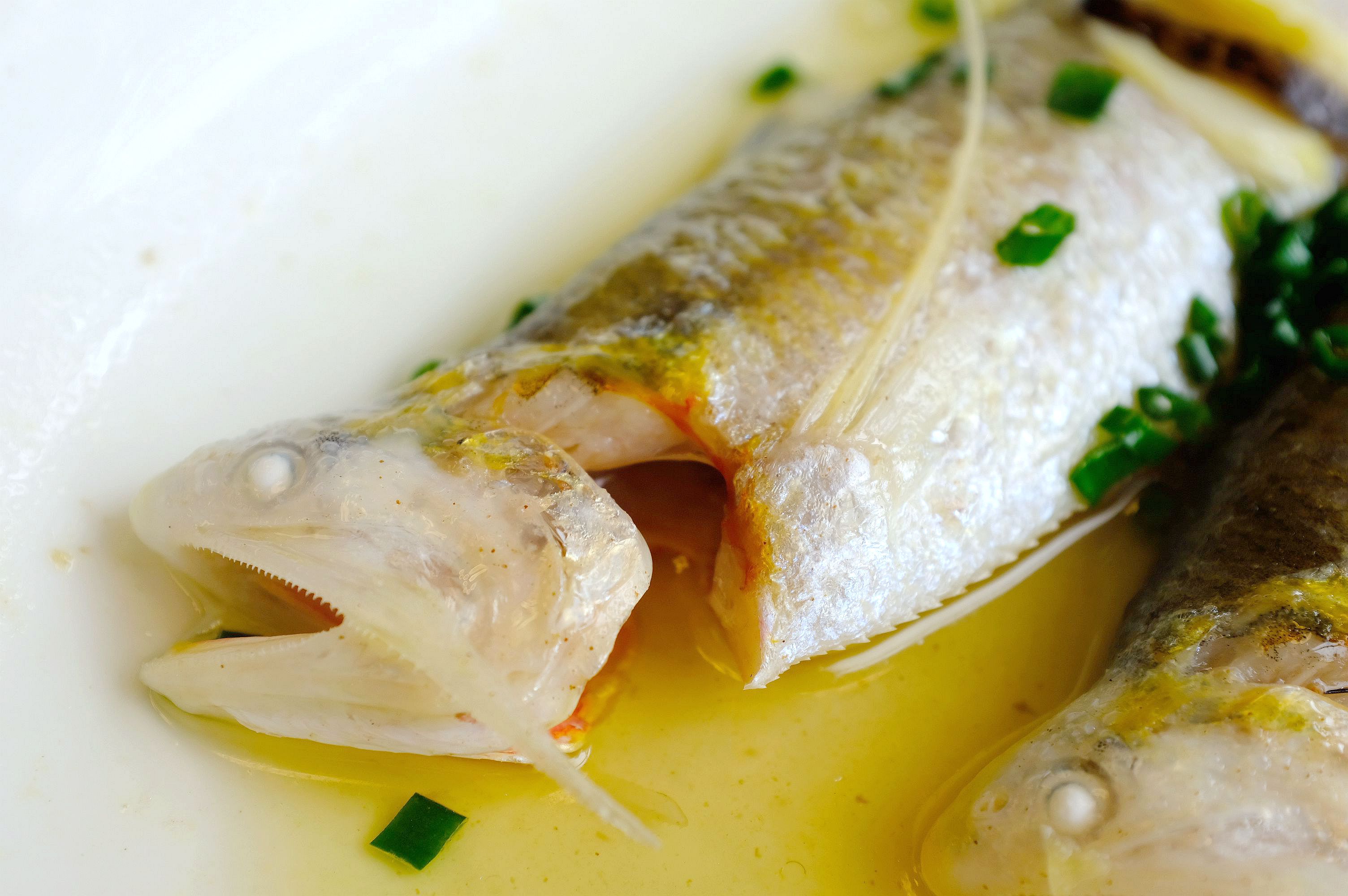 地方清明时节特色美食,清明各地方美食