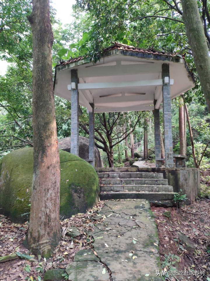 广州火炉山从哪个门口进去最好玩,广州火炉山值得去吗