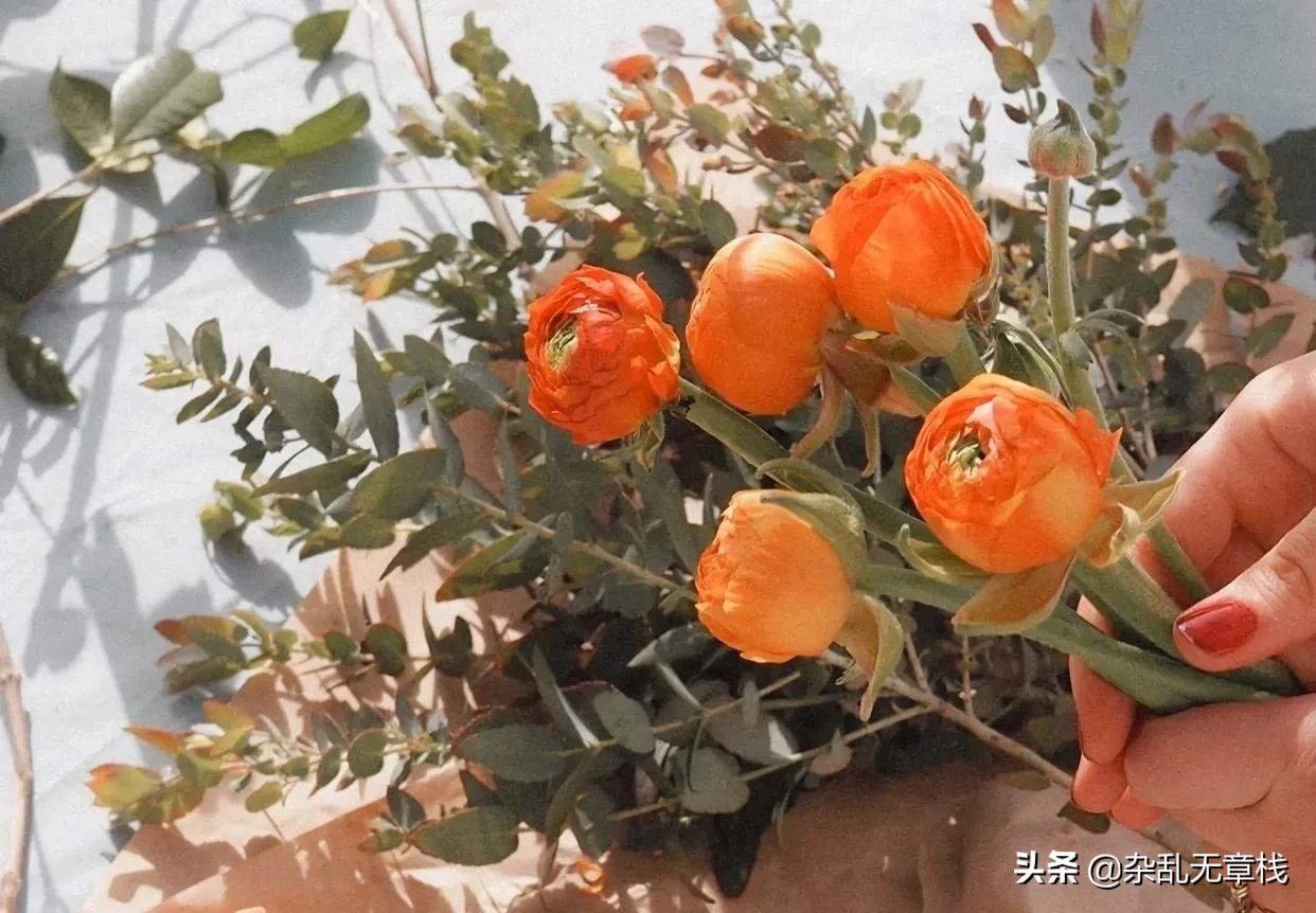 念念不忘必有回响可是思念无声,念念不忘必有回响在爱情中意思