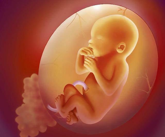 胎动每个阶段的感觉,胎动强烈明显是多少周