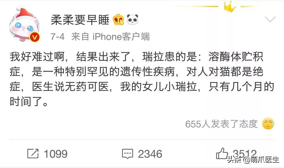 你见过猫咪的眼睛吗,你见过猫咪这种眼神吗