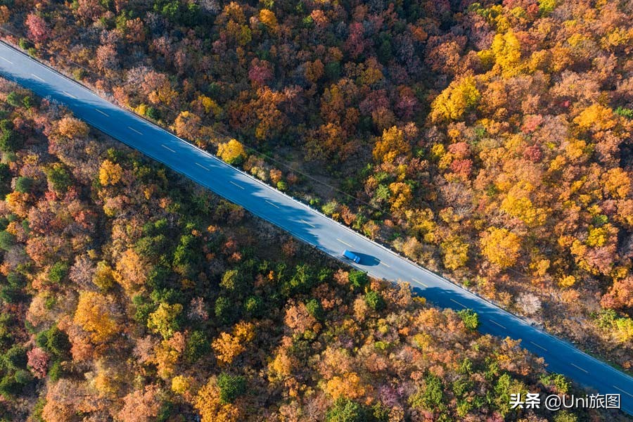 十大热门网红打卡点,2022年网红打卡地排行榜