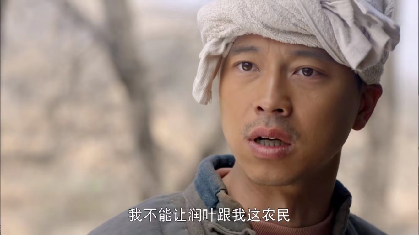 以田润叶视角打开平凡的世界,平凡的世界对田润叶的评价