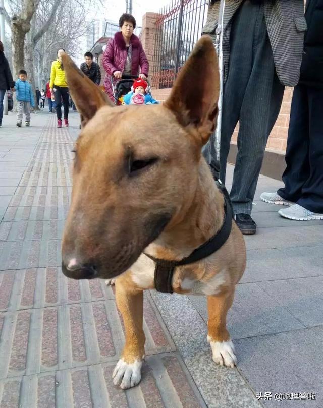 中国各省直辖市行政区特产,34个省级行政区特色介绍