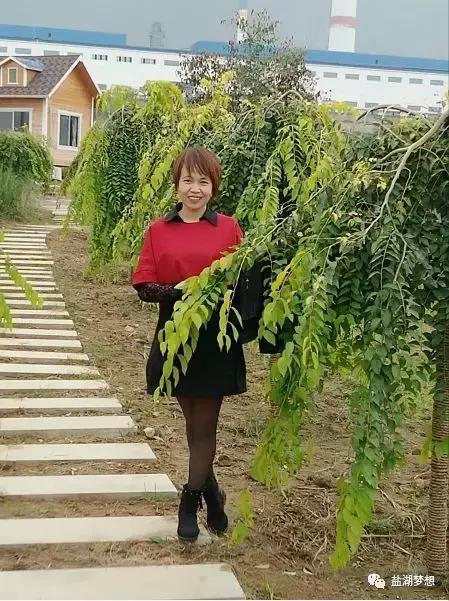 聚是一团火散是满天星主题演讲,聚是一团火散是满天星的心得感悟