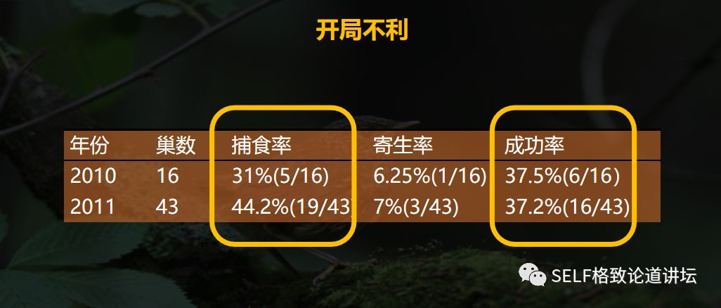 科学家如何观察植物,鸟类的研究方法