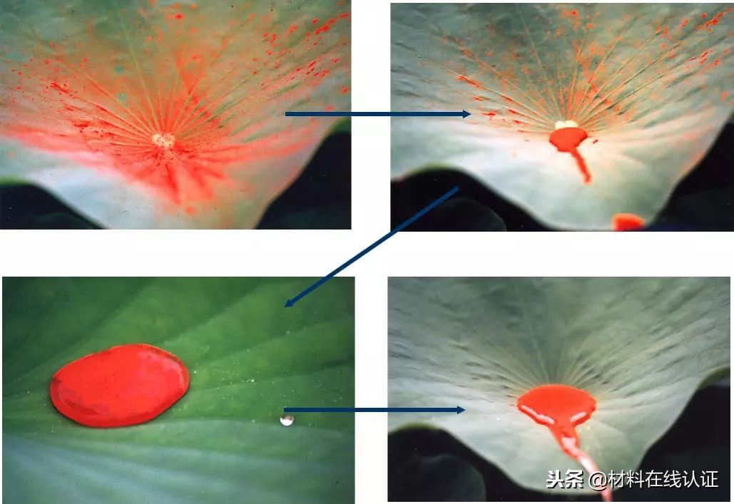 没有聚碳酸酯板打造的体育场，哪还有本届世界杯？