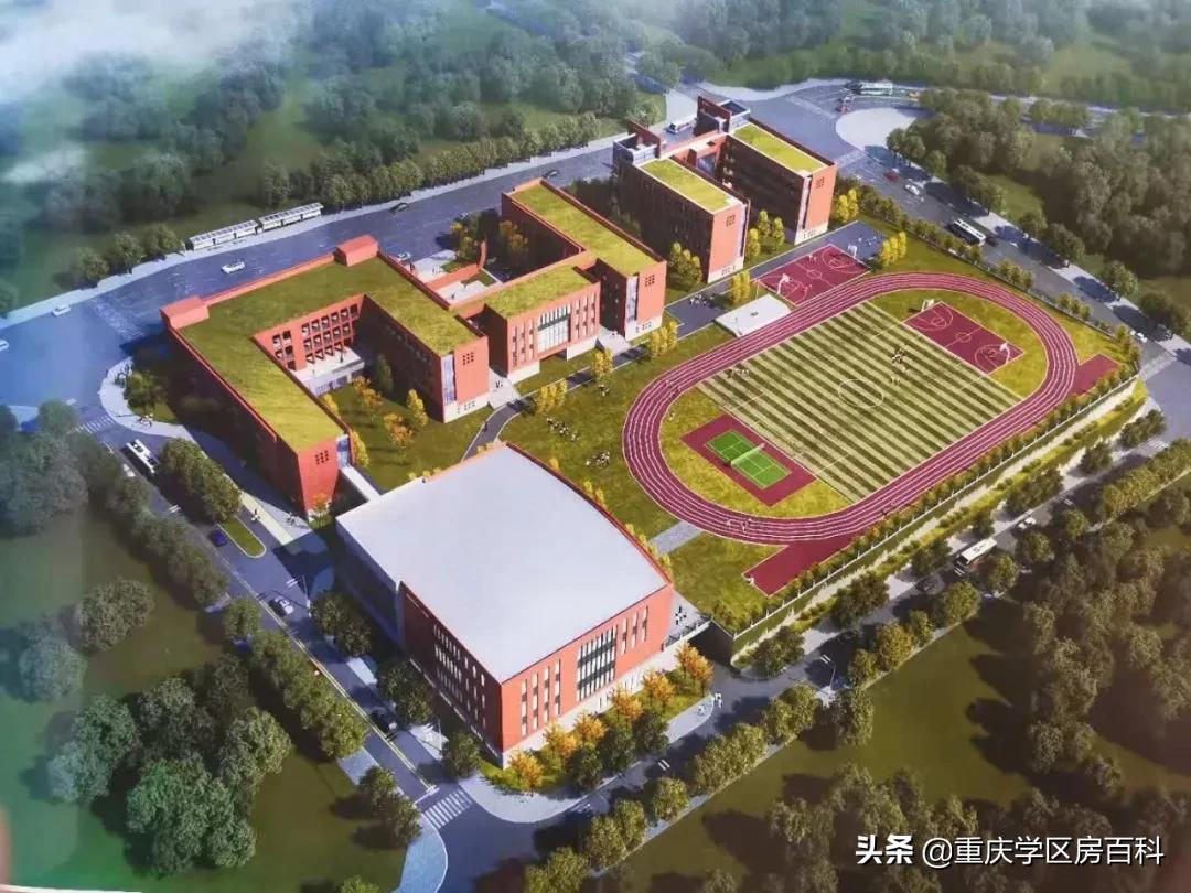 大渡口跳蹬有小学吗,大渡口跳蹬新建学校