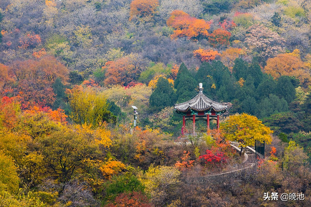 女足赵植萍采访视频,赵植萍足球训练记录