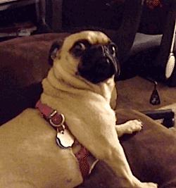 和他「啪」其实没那么爽|女生不会让男友知道的8个小秘密