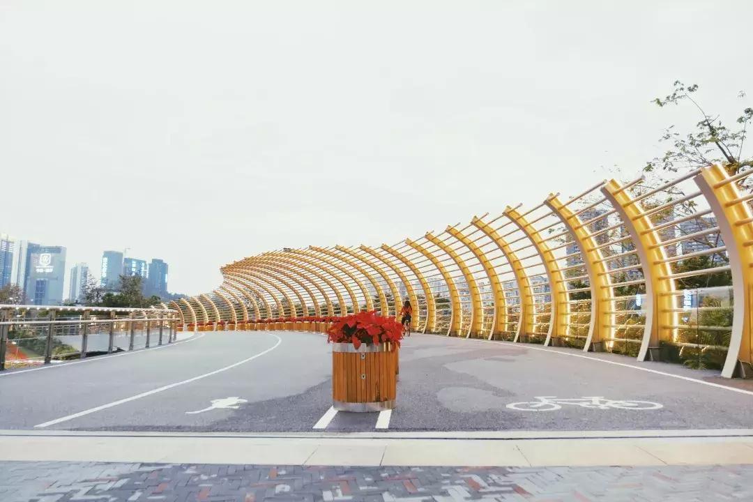 深圳湾公园这里有什么好吃的,深圳湾在哪里