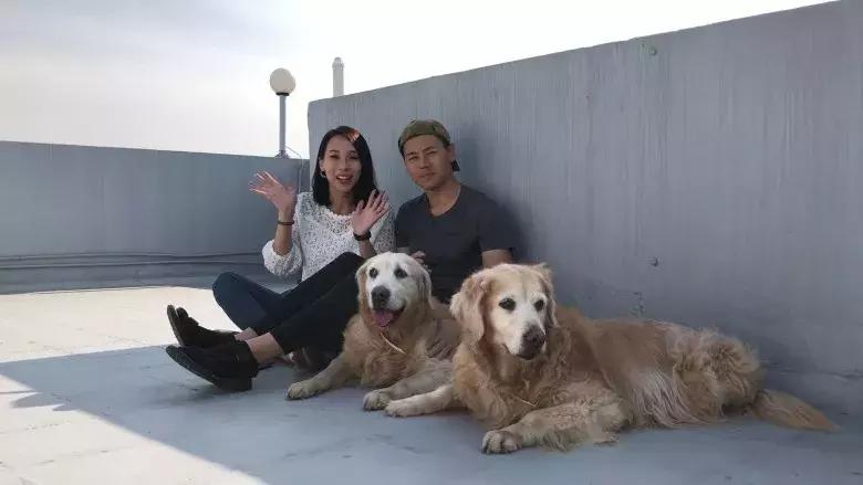 即将升级人妻！TVB宅男女神直播宣布订婚成功：他求了三次婚