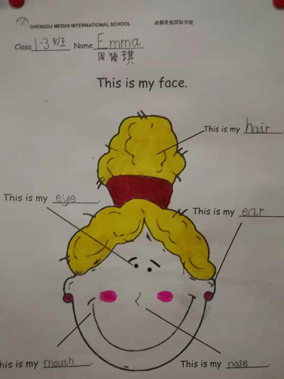 小学招生2000人,美视国际学校收费