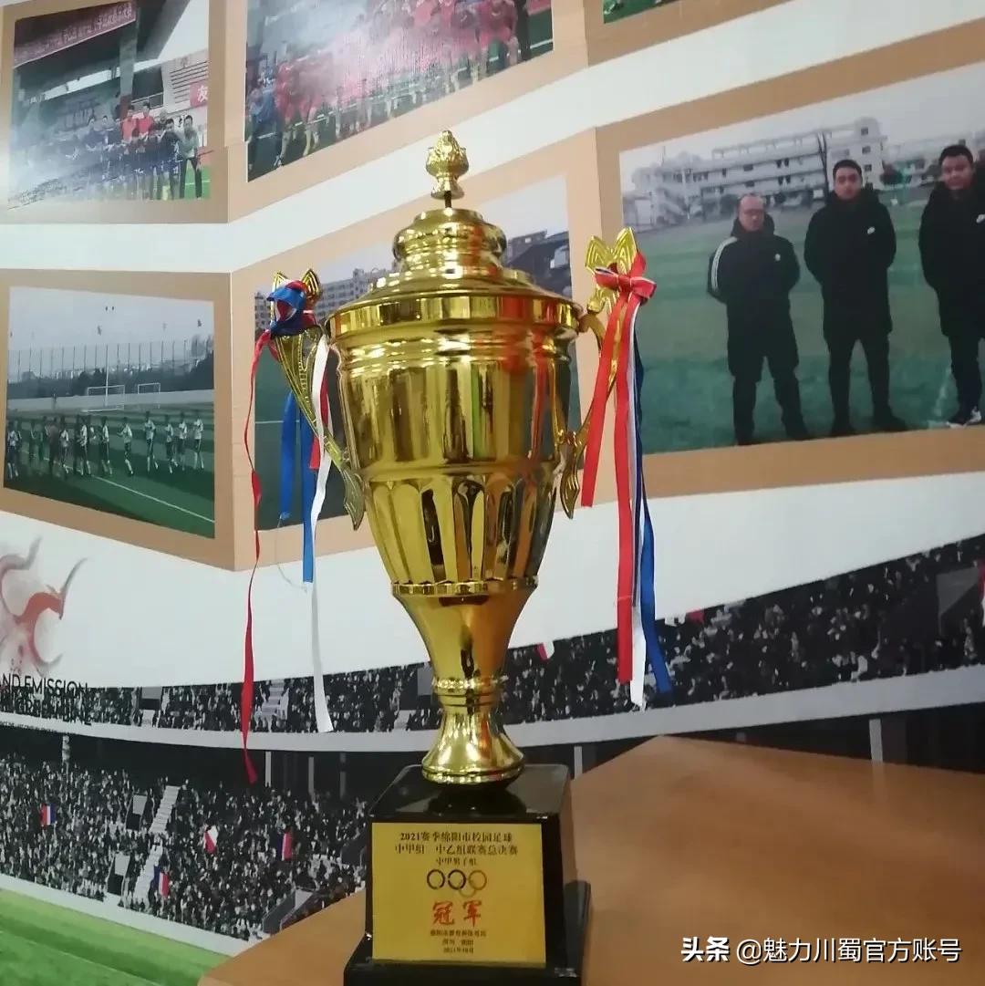 三台芦溪冠军,三台芦溪初中足球