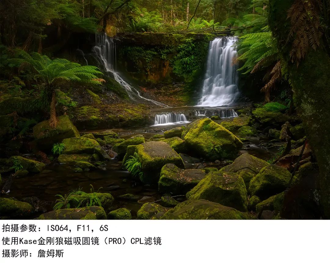 黑底植物拍摄技巧,摄影技巧如何拍摄黑色背景