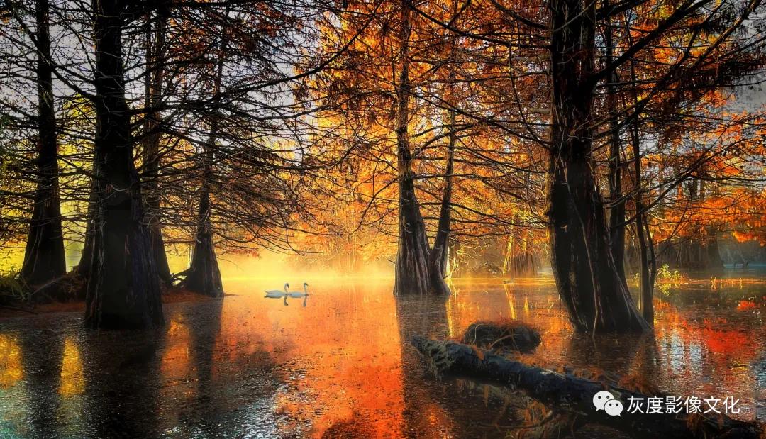 第四届国际风光摄影大赛,第四届国际摄影巡回赛