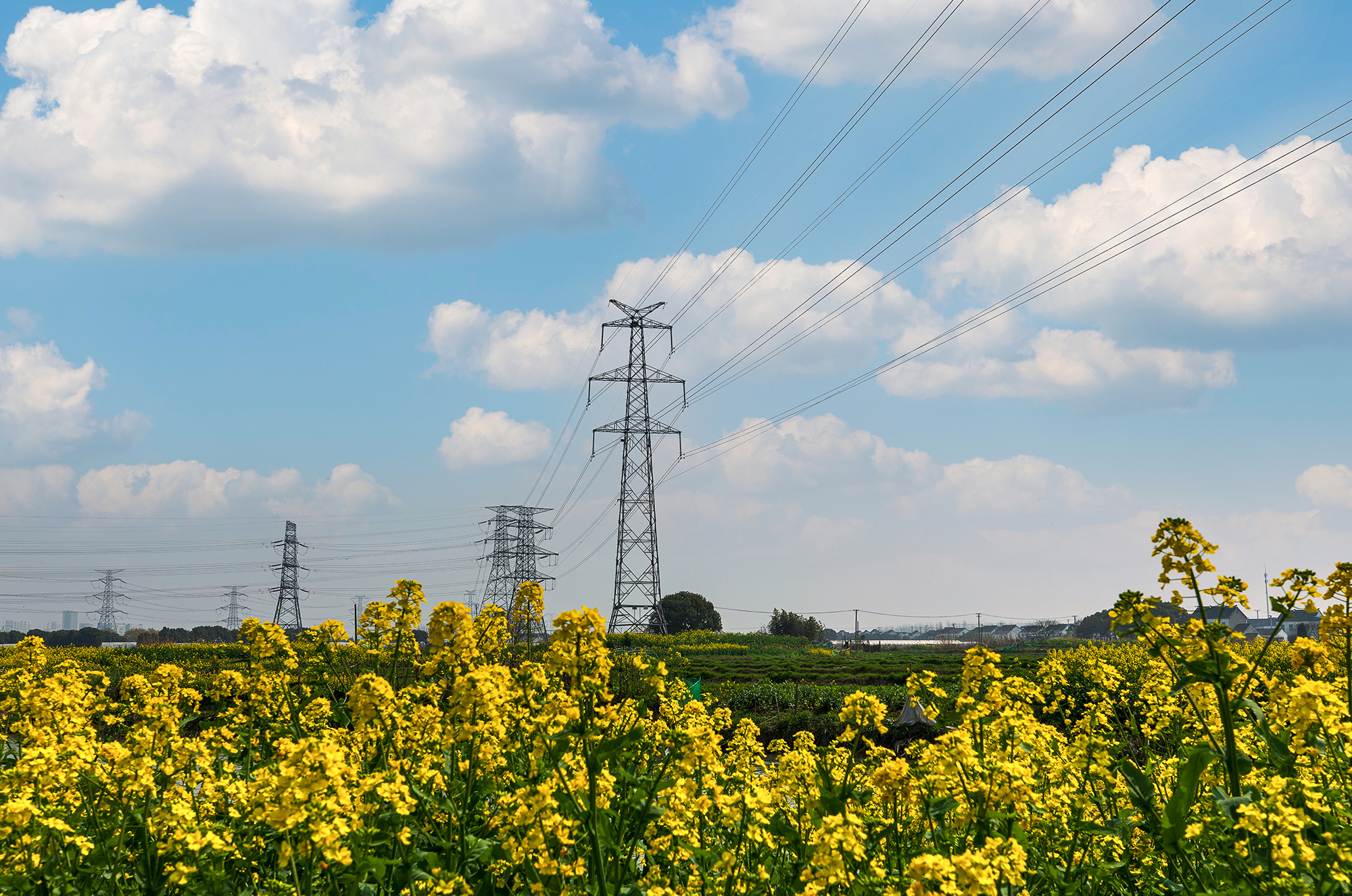 刚好我也喜欢你暮回全文阅读,刚好我也喜欢你小说完整版