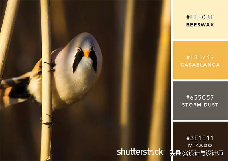 设计色彩总结200字左右,设计配色6种颜色