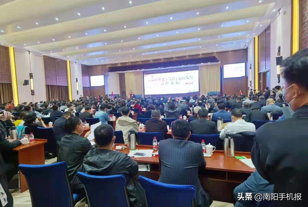 鹤壁市嘉年华,鹤壁市2021中华老字号嘉年华活动