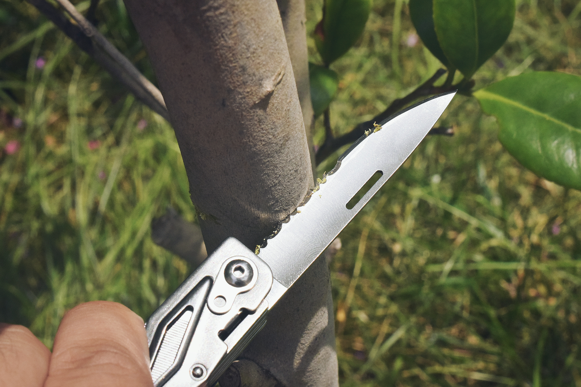 利刃迅猛龙,sog迅猛龙工具钳