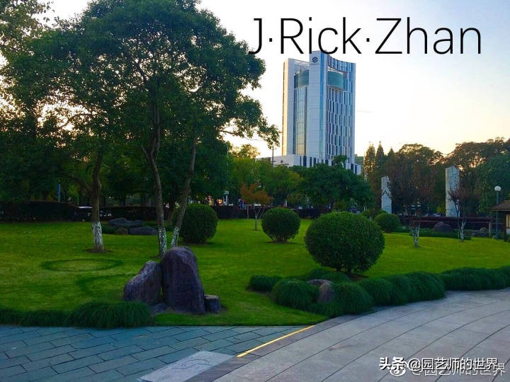 怎样种植草坪技术,果岭草坪的种植养护方法及技巧