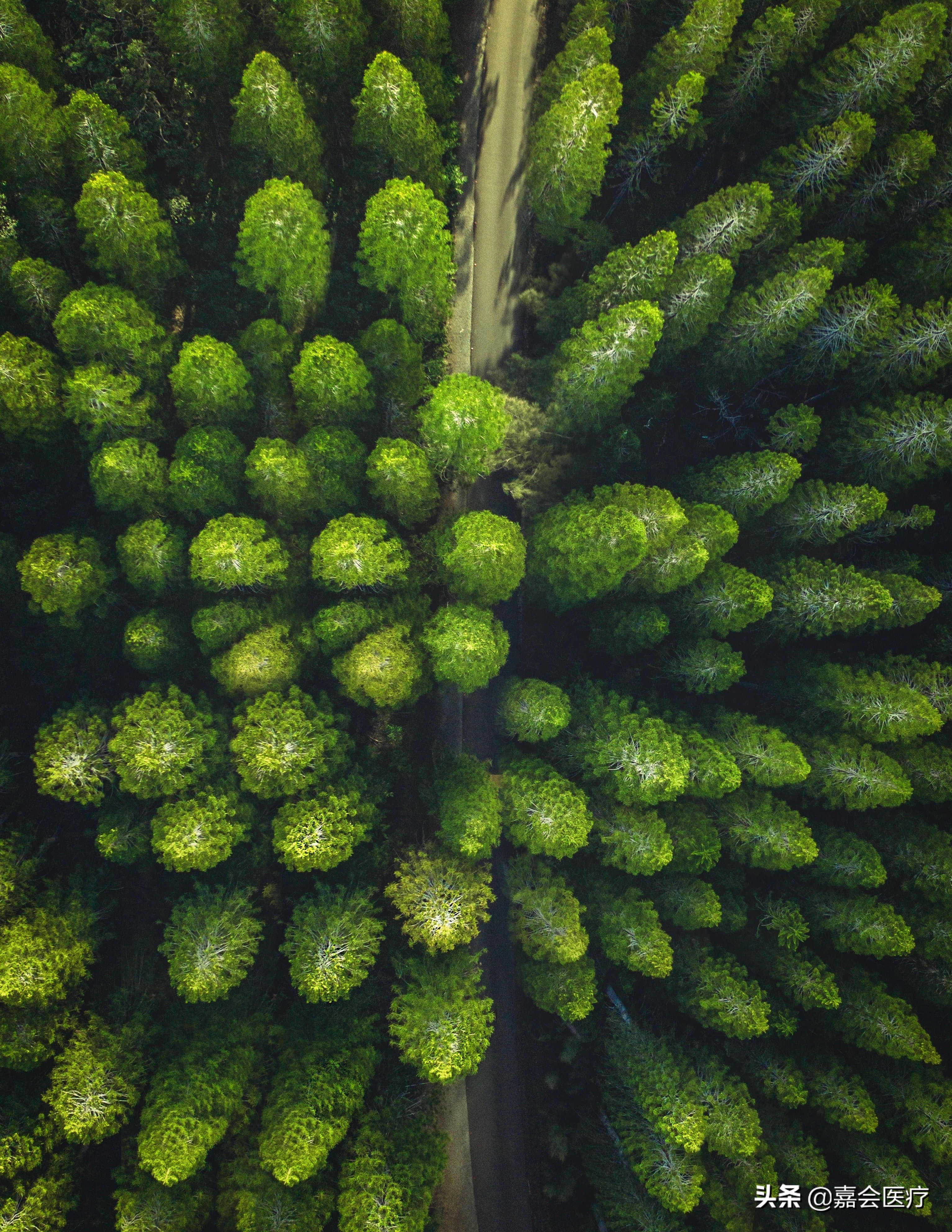 益生菌正确使用方法,益生菌的正确服用方法和调理