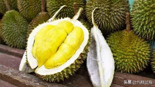 榴莲之王品种,榴莲无壳无核