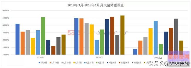 生猪采购需要规避哪些风险,今日猪市最新评价