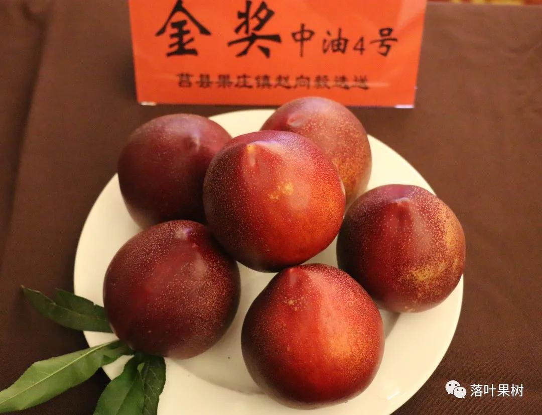 中国桃产业转型升级,桃产业转型升级的思考