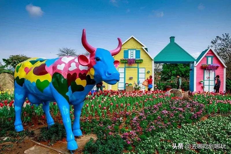 38抢从化宝趣玫瑰世界1大1小票赏春赏花赏美景不负*光春**不负卿