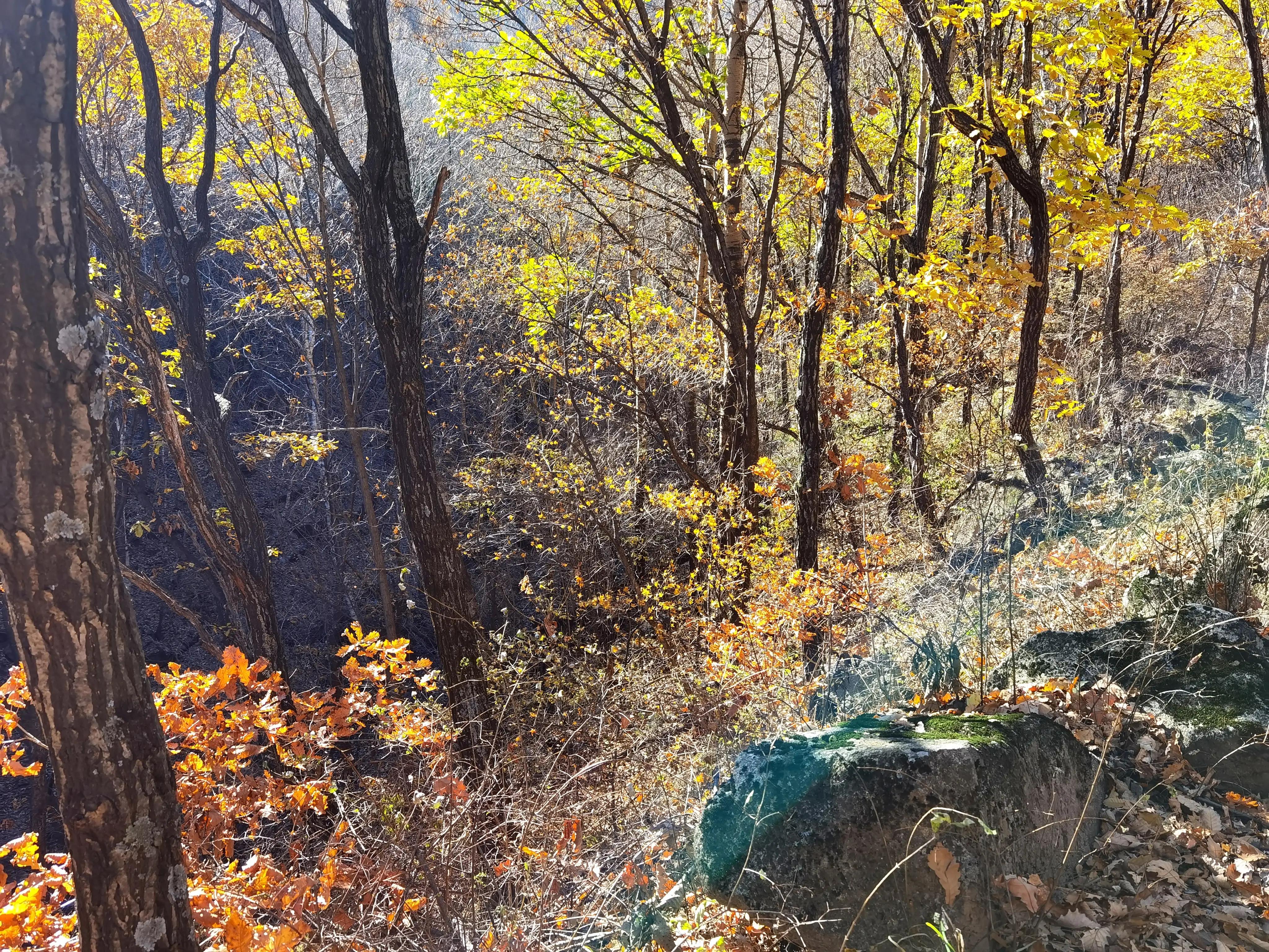 怀柔喇叭沟门原始森林2日自驾游,怀柔喇叭沟门原始森林骑行