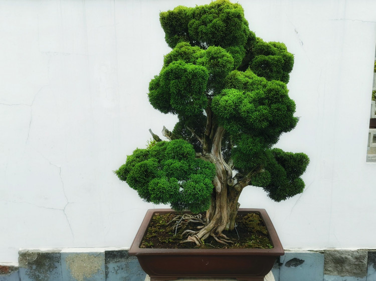 茅山宝盛园周边游玩,茅山宝盛园所有游乐设施