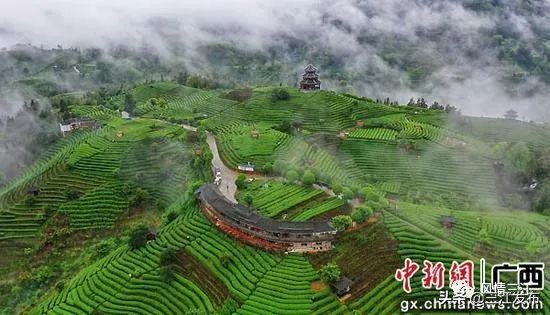 媒体看融安,三江侗乡新闻